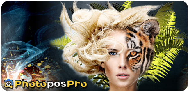 Image result for photo pos pro logo