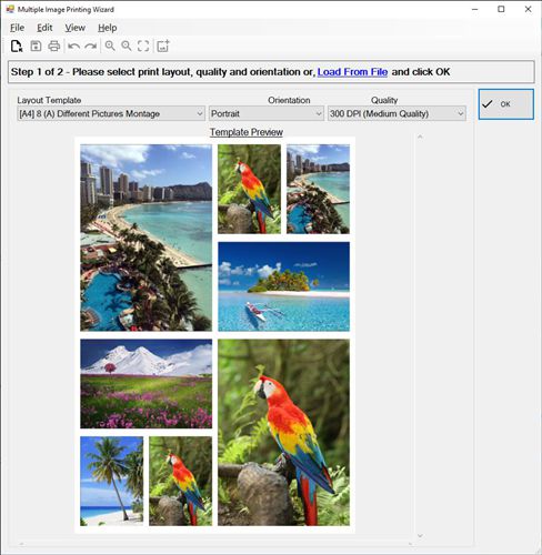 Pos Multiple Image Printing Wizard screenshot