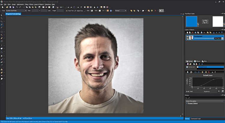 Virtual Vector Photo Editing